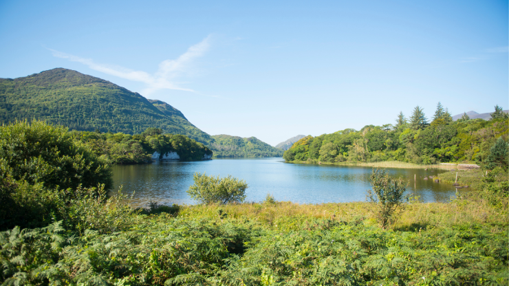 Irland - Killarney National Park