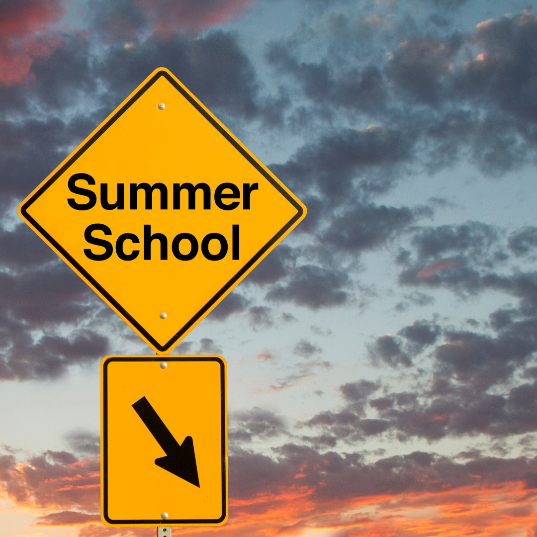 Summer Schools