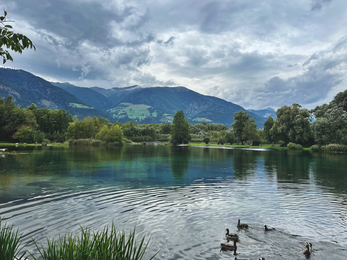 Blick auf einen Fischteich am Prader Sand