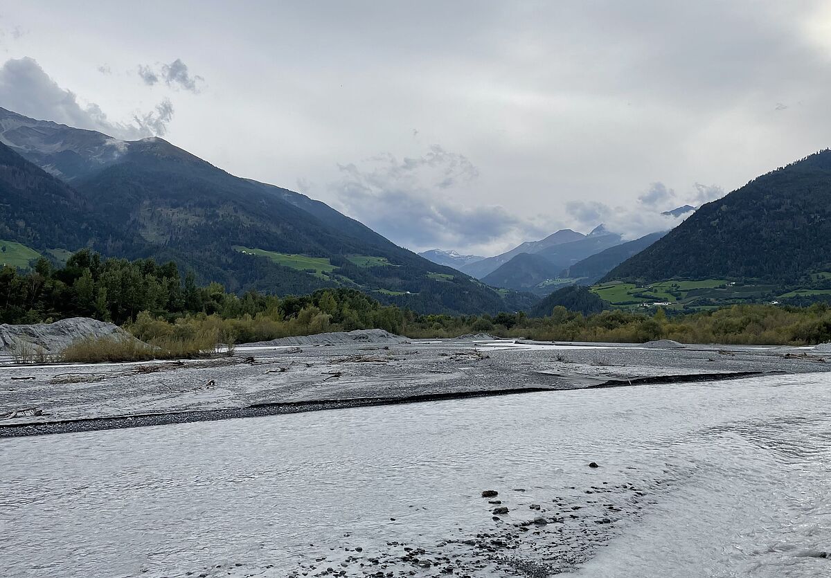 Ein Abschnitt an der Etsch, ähnlich dem renaturierten Fluss Rienz