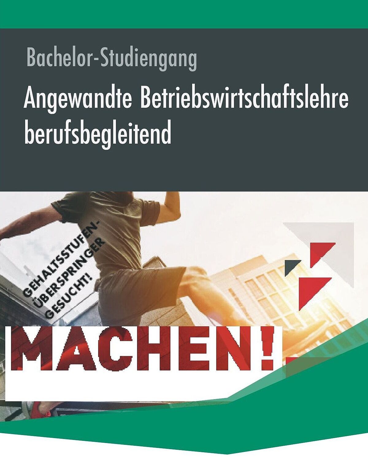 Flyer zum Studiengang